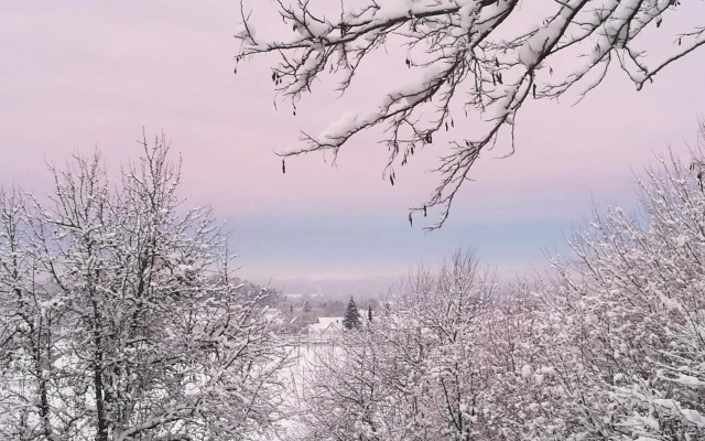 Apartment Green Elephant