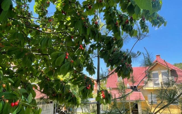 Jasmin Apartment House