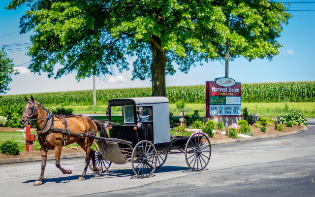 Harvest Drive Family Inn