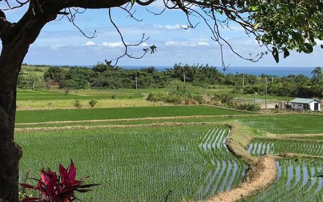 King Kong Loves Barbie BnB