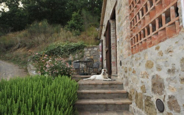 Podere Monte Petreto