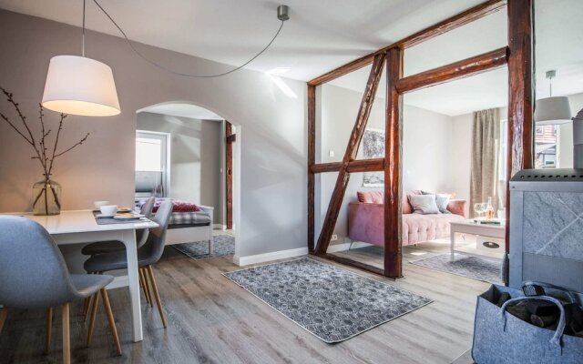 Apartment in Harz With Terrace and Fireplace