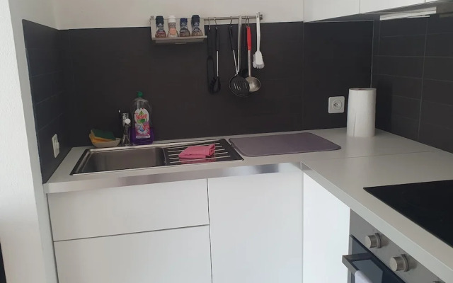 Executive Huge Flat in Central Lugano