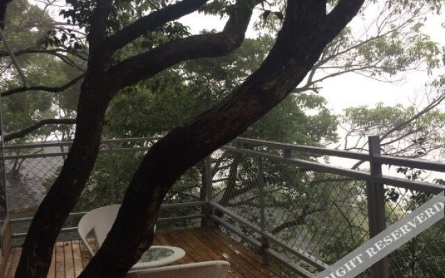 Yinxin'gu Treehouse Hotel