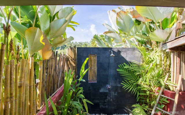 Hati Padi Cottages