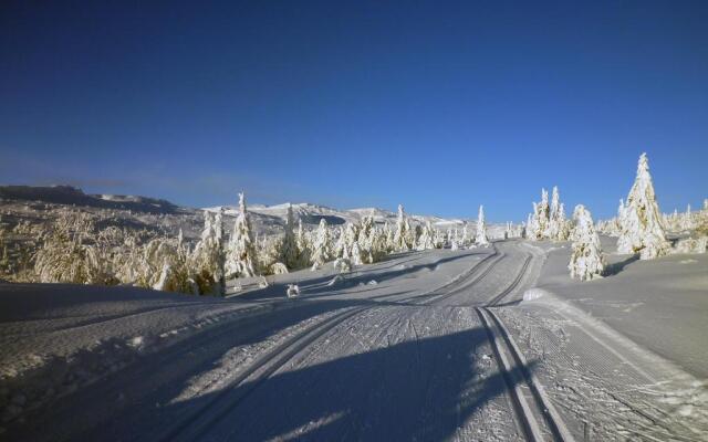 Skeikampen Appartement