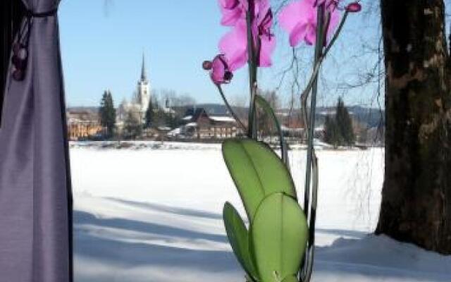 Apartments Bella Vista Lipno