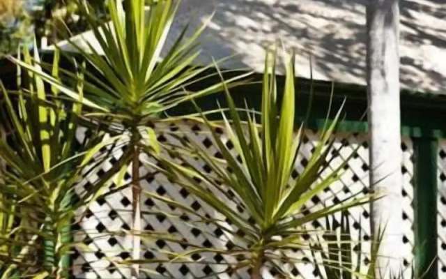 Pinctada McAlpine House