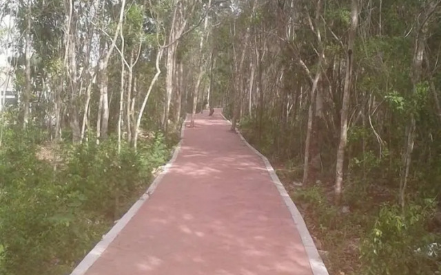 Condo en PlayaDelCarmen 542 by Sinbad