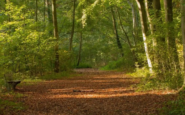 Spacious One-room Apartment in Delft