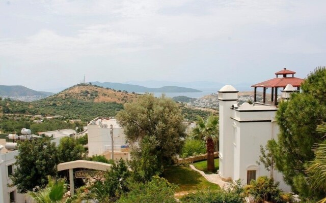 BO040 Bodrum