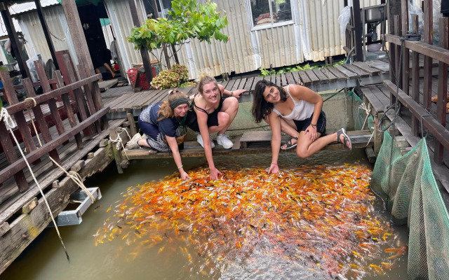 Green Sunshine Homestay