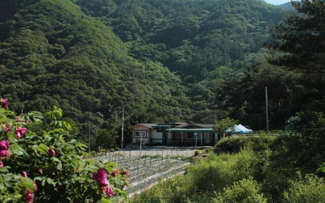 Samsuni Pension
