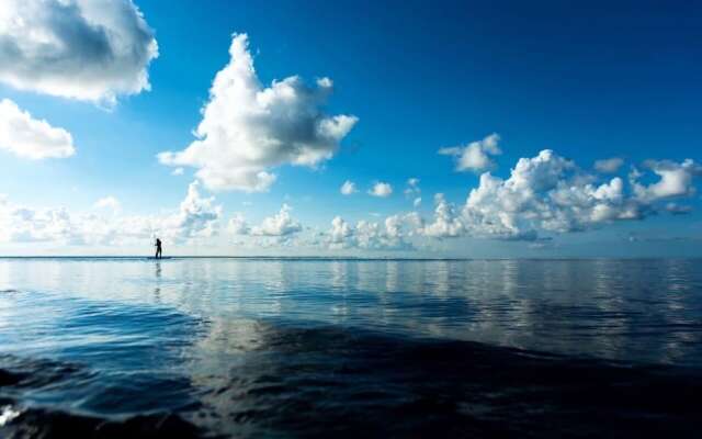 Homing Bird Apartments