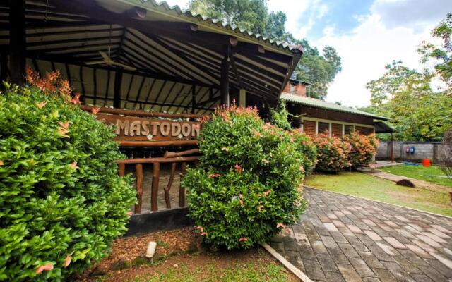 mastodon valley safari resort