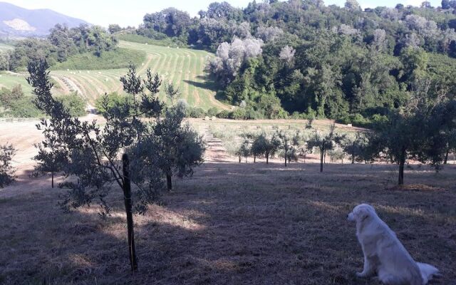 Agriturismo Valle DAmbrosia