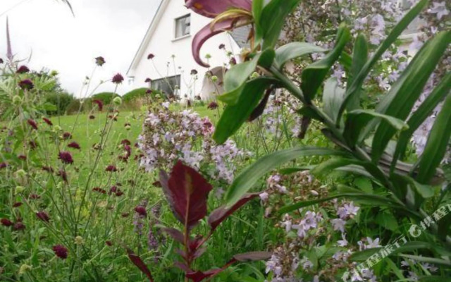 Cregg House B&B