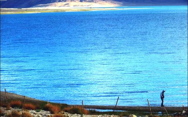 Royal Camp - Pangong