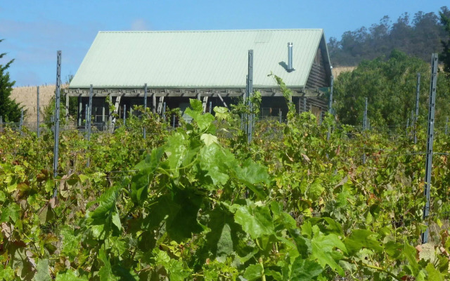 Charles Reuben Estate