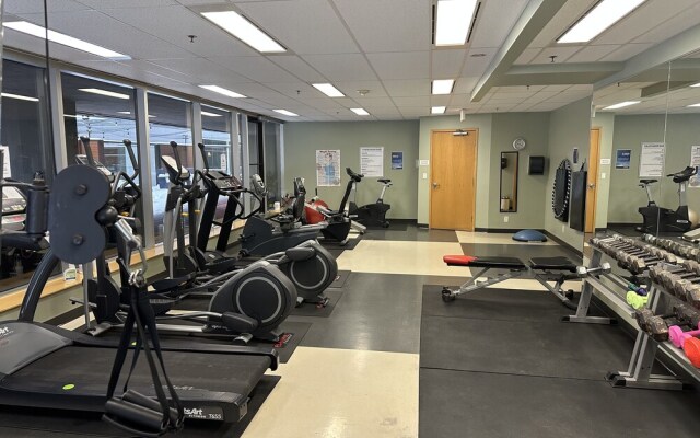 Luxury Downtown Condo Two Bedroom