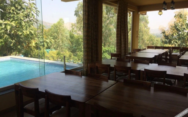 The Space Jungle Retreat