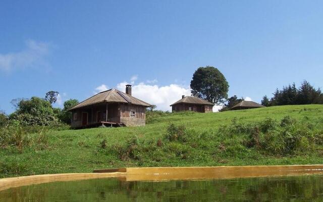 Castle Forest Lodge