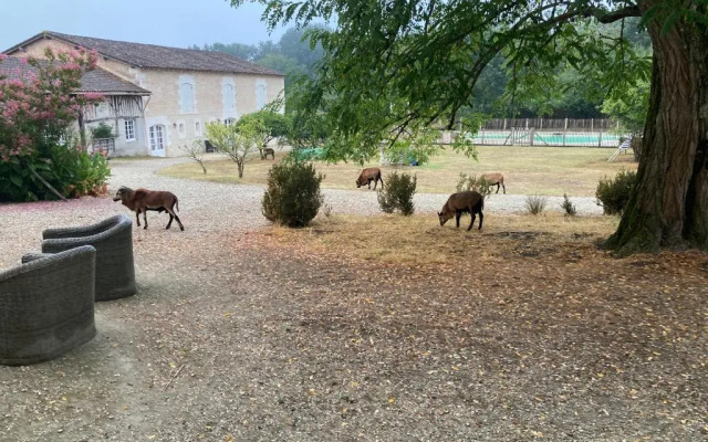 Le Petit Chateau Servanches