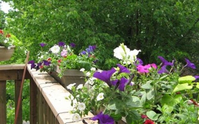 Braeside Court Bed & Breakfast