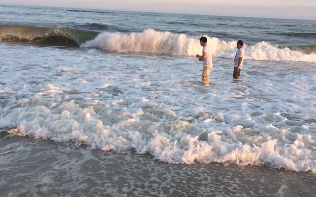 Brushwood House by Smith Point Beach