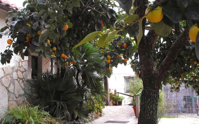 Agriturismo Fattoria Spezia