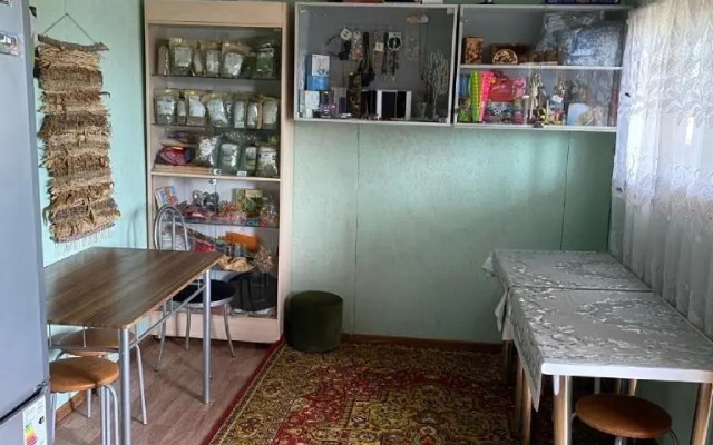 Чижик на улице Дворникова 12