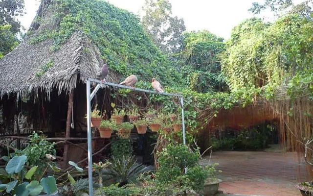 Cai Son Orchard Home Stay