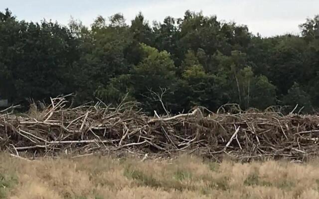 ZEN-Bungalow NO 4 met sauna en hottub