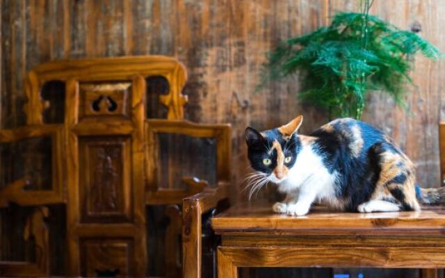 Hongcun Daiqingfang Nanhub Huizhou Ancient Style Experience Homestay