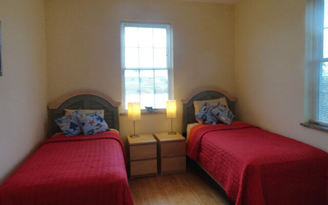 Sand Dollar by RedAwning