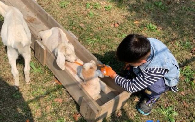 Floral Hotel·Yidao Chengxuan Hotel (Shanghai Zhujiujiao Branch, Qingpu))