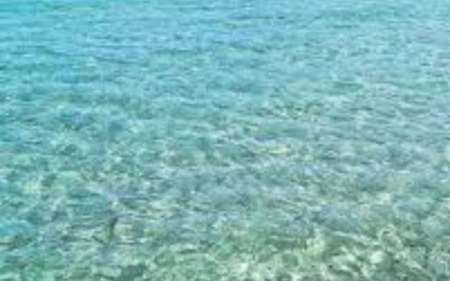 Sweet Thought Cottage