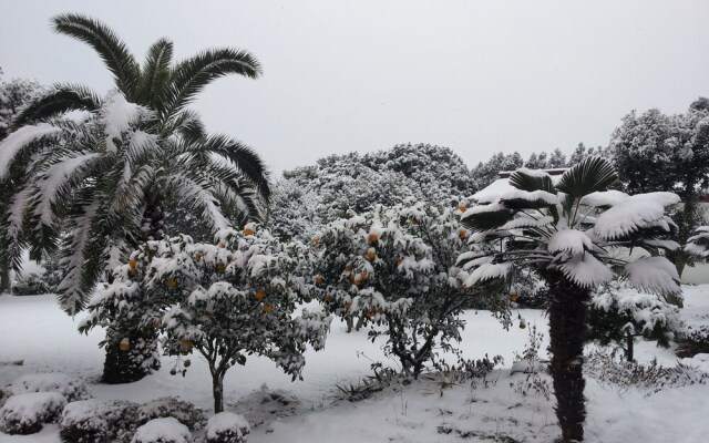 Orum Resort