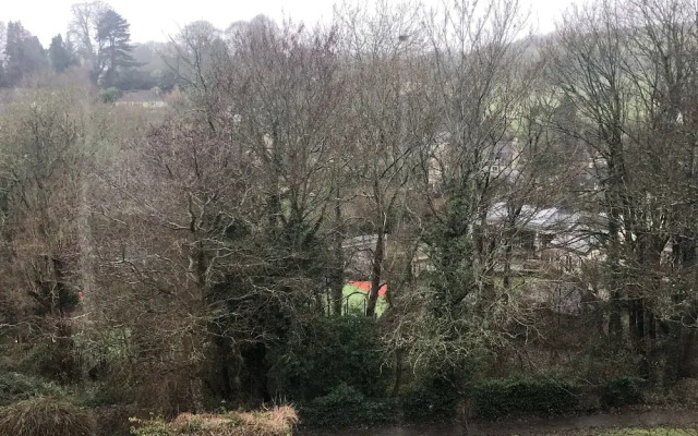 Scarlet House