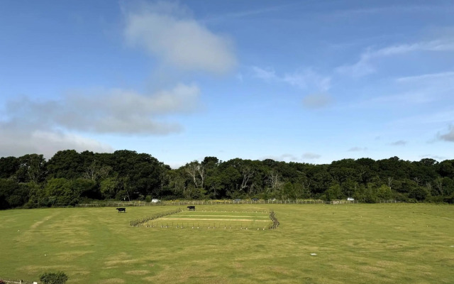 Balmer Lawn Hotel