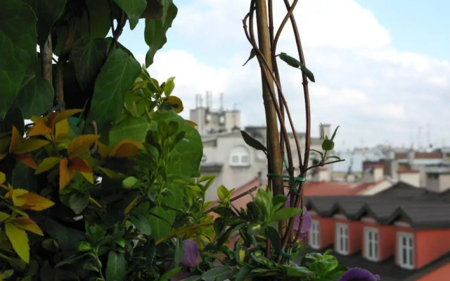 Tukan Old Town