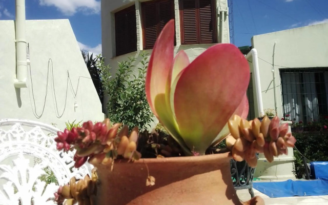 Mariposas del Parque