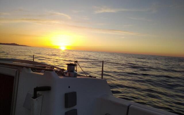 Inolvidable experiencia en un velero de 11 metros!