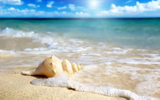 Appartamento Arancina a 150 Metri dal Mare