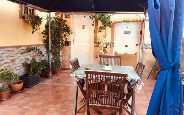 Cool Garden and Suite