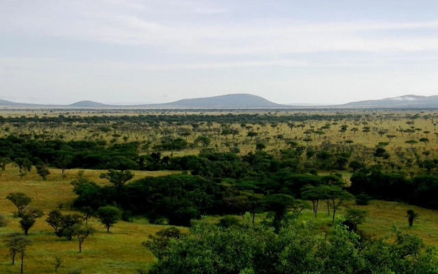 Mbalageti Serengeti