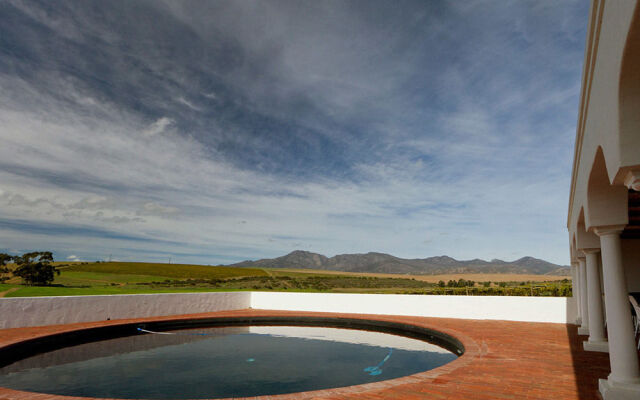 Endless Vineyards at Wildekrans Wine Estate