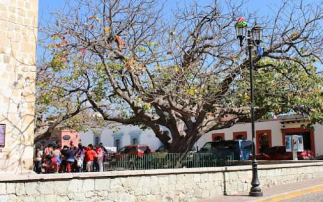 Casa de Ana y Eloy