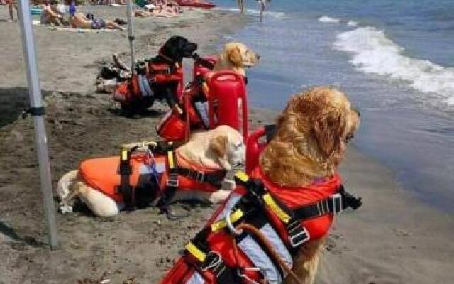 Guest House Mari In Ureki