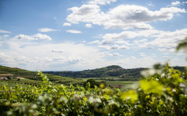 Massimago Wine Relais